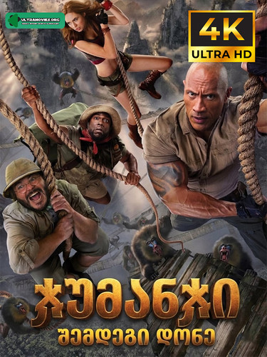 Jumanji The Next Level cover.jpg