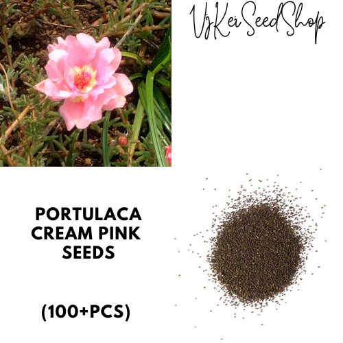 ph 11134207 7rase m1r9n4v6smny8d.jpg