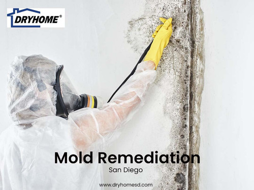 Mold Remediation San Diego.jpg