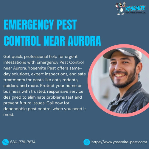 Emergency Pest Control Near Aurora.jpg