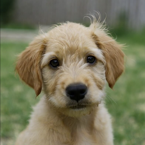 Screenshot 2026 03 19 at 11.21.10.png