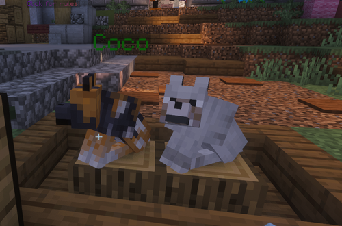 image 2026 03 20 043323367.png