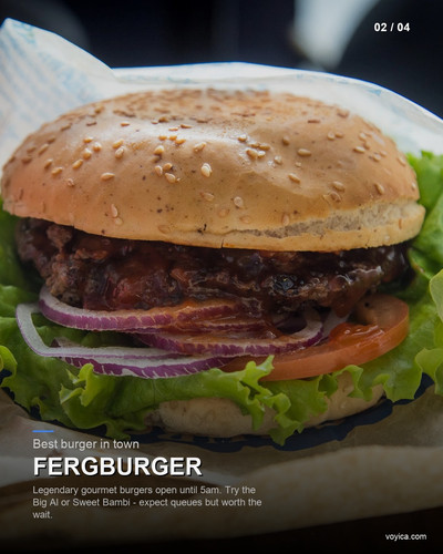 slide 02 fergburger.jpg