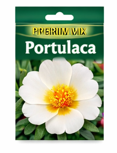 Hybrid Mix Portulaca c.jpg