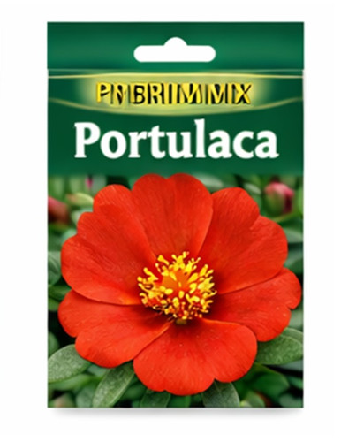 Hybrid Mix Portulaca d.jpg