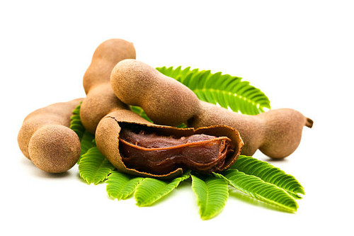 Fresh Tamarind with leaves.jpg