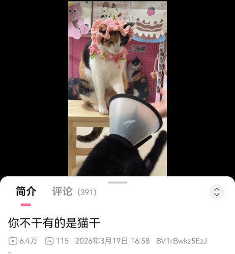 Screenshot 20260319 201011 tv.danmaku.bili edit 4975409822279873.jpg