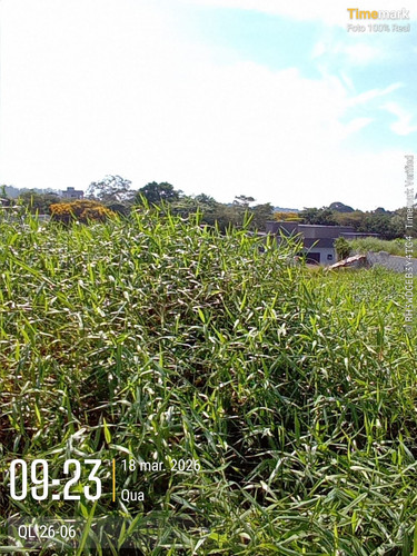 WhatsApp Image 2026 03 19 at 08.50.54.jpg