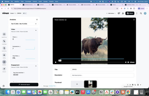 ss video analytics.jpg
