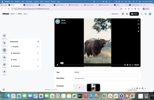 ss interactivity.jpg