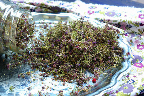 dry  thyme.jpg