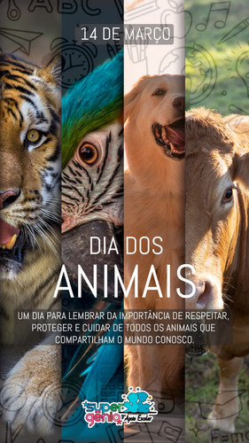 WhatsApp Image 2026 03 11 at 16.08.08.jpg