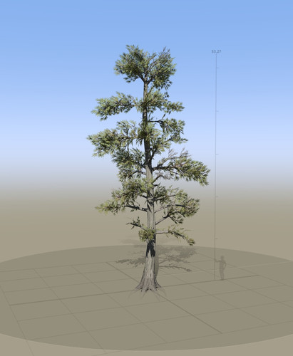 8349 SpeedTree Modeler.jpg