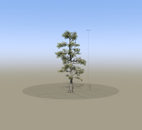 8346 SpeedTree Modeler.jpg