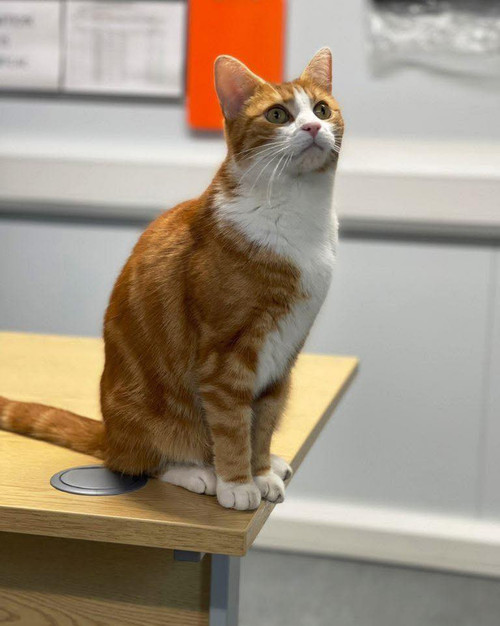 652681075 1382652950567783 5897986181792358796 n.jpg