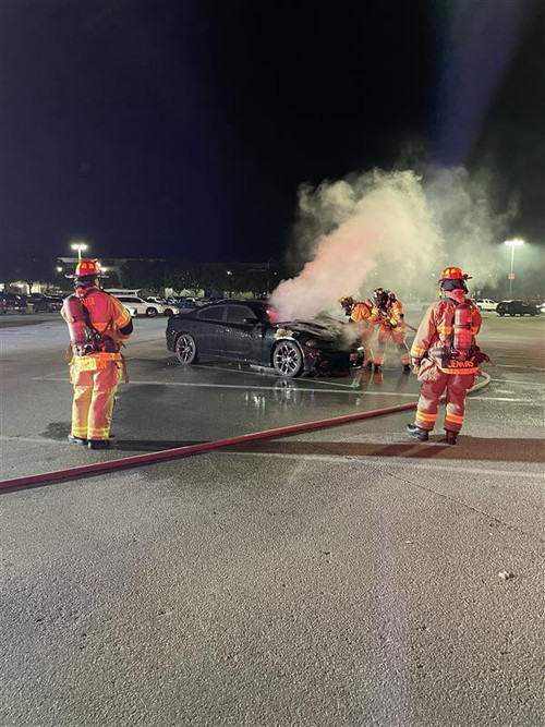 2f084088 ee7d 4c55 b25a 3b3d34a51a79.jpg