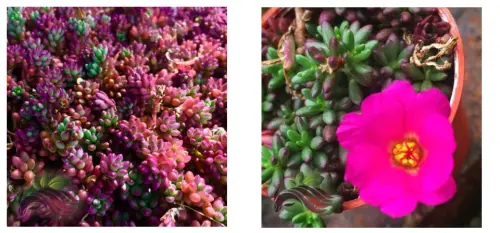 48 42c4fcf1b1104538f68cf59245bb5594 png 960x960q80 png.webp