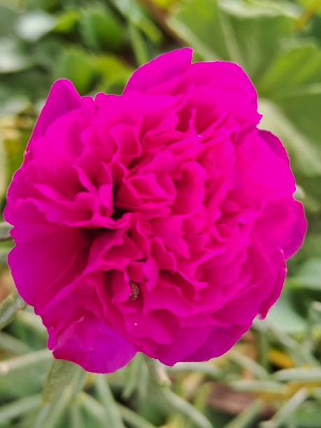 So beautiful, so beautiful, that's how the things of God are, it's all so, that there's still little.jpg