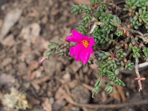 27 154129308095348763.jpg