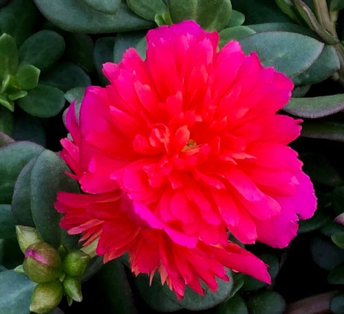 01 4638408c259d8d01d48c540cdcf26f72 jpg.jpg