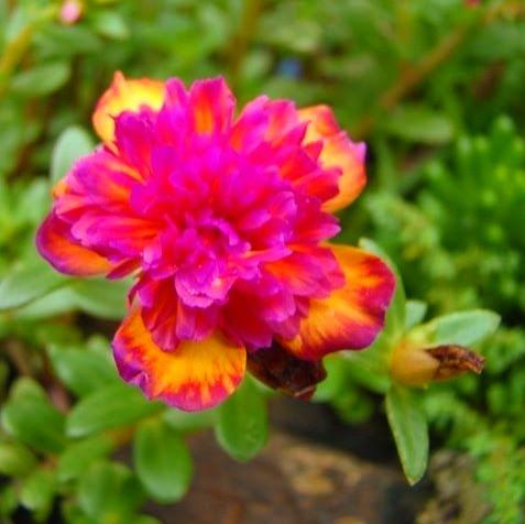 08 fc194ljbvj1a1 jpg.jpg