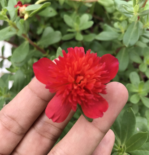 12 8f6060c774594e72c3377d9813a200ae jpg.jpg