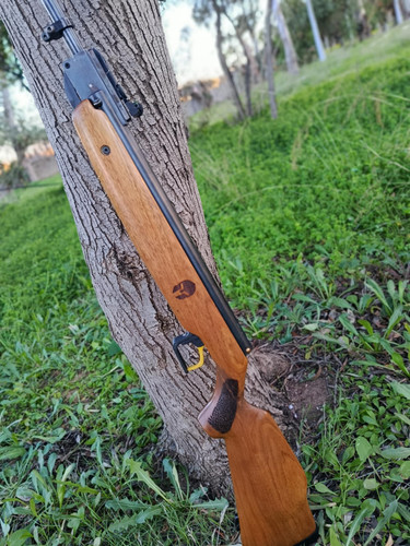 649972440 26387159820877702 1063005794949115297 n.jpg