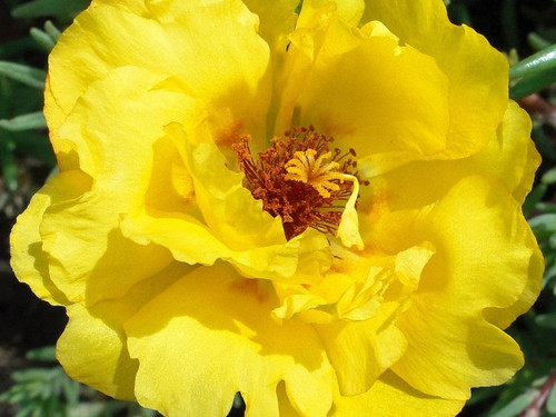 il 1588xN.6181235803 fvhh.jpg