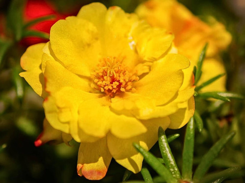 il 1588xN.6181235719 bkta.jpg