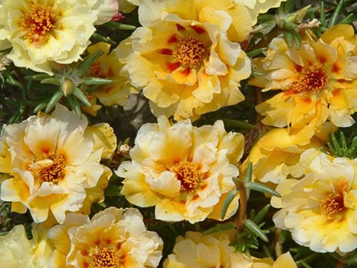 il 1588xN.6181235817 smvq.jpg