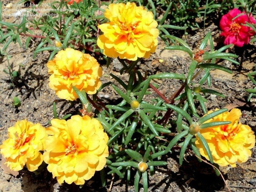 il 1588xN.6133124362 etxt.jpg