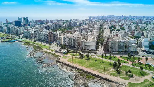 montevideo grande.webp