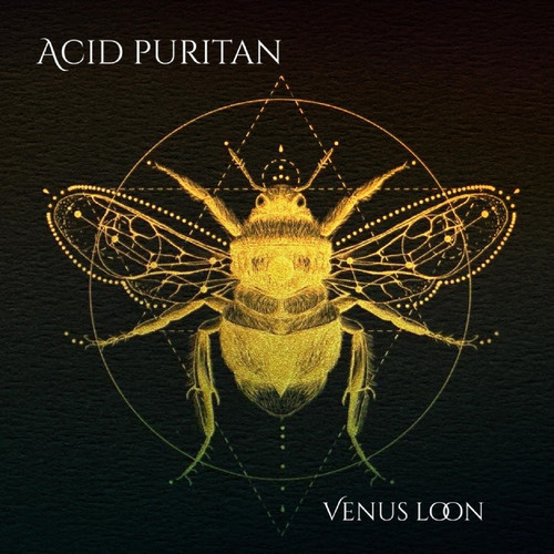 Acid Puritan Venus Loon.jpg