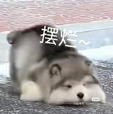 1000000526.jpg