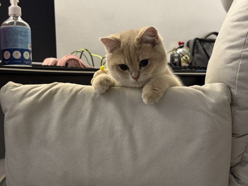 f632348d c951 4fb6 b2fc 52b2280d9c3b.jpg