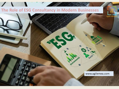 The Role of ESG Consultancy in Modern Businesses.jpg