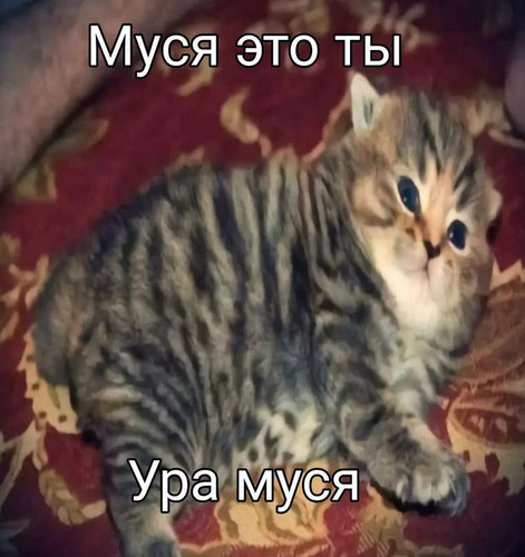 bd23e12b60a8.jpg