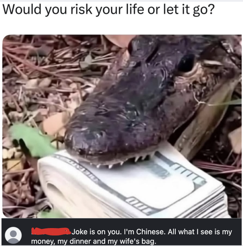 Screenshot 2026 03 20 at 12.13.38 AM.png