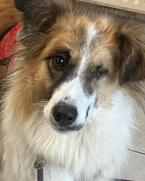 HBXbHbWXEAE TIL?format=jpg.jpg