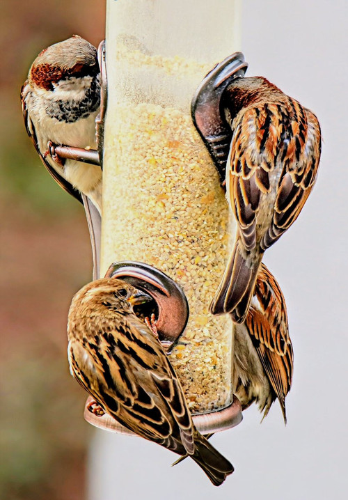 HDtKEV WsAAaPme?format=jpg.jpg