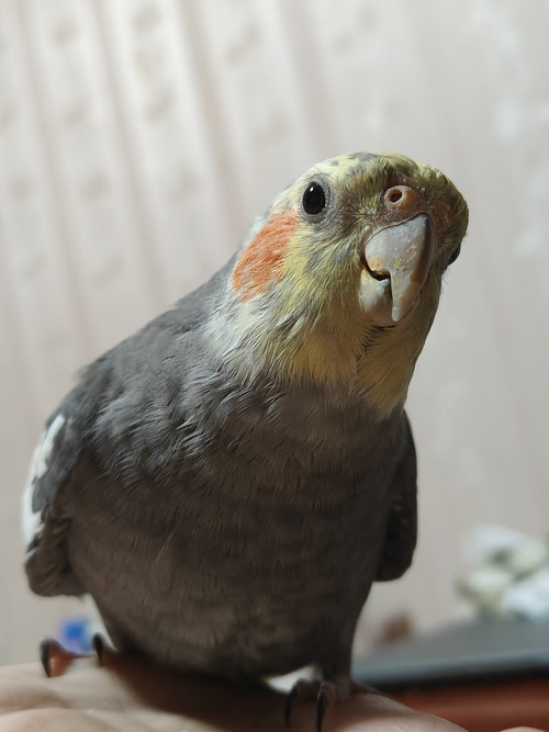 IMG 20260319 214338.jpg