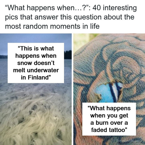 what happens when facts.jpg