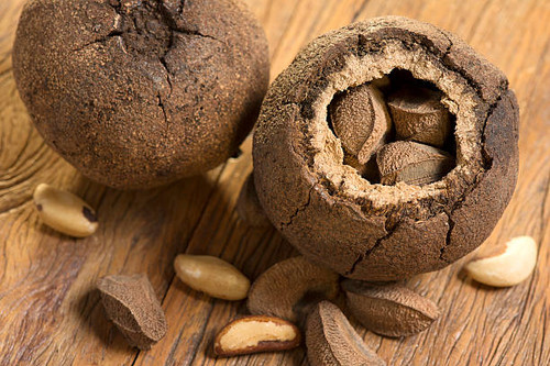Brazil nut seeds, shell, and nuts, tropical exotic fruit from the Amazon rainforests on a wooden bac.jpg