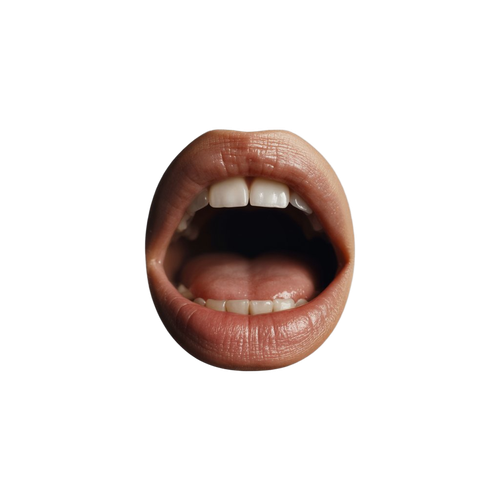 442a63d6c62f.png
