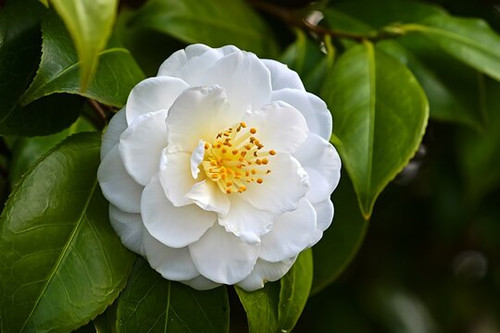 360 F 1923868550 d2MB5Yy2k2d0eJEPhD9XreIj25ndfOM4.jpg