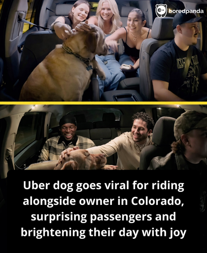 Copy of FB Native Template v5 (3).png