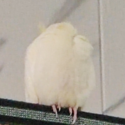 IMG 20260319 223043.jpg