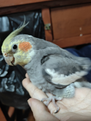 IMG 20260319 223716.jpg