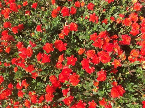 18 efbc1q5mlw63yd2u2cn0hs6jnzf2gljhr486u3dkgm2y jpg.jpg