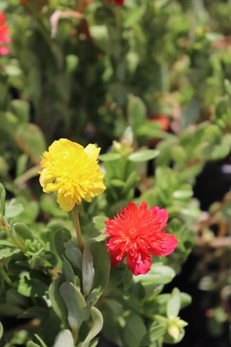 13 IMG 5718 scaled jpg.jpg